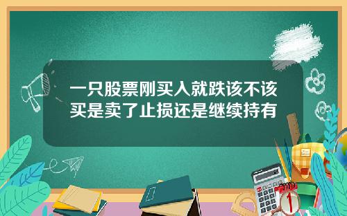 一只股票刚买入就跌该不该买是卖了止损还是继续持有