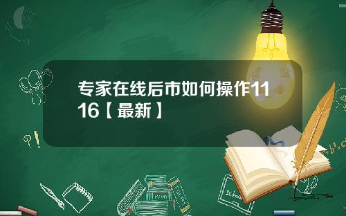 专家在线后市如何操作1116【最新】