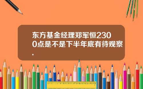 东方基金经理郑军恒2300点是不是下半年底有待观察.