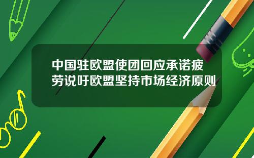 中国驻欧盟使团回应承诺疲劳说吁欧盟坚持市场经济原则