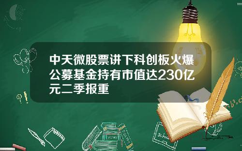 中天微股票讲下科创板火爆公募基金持有市值达230亿元二季报重