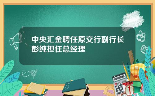 中央汇金聘任原交行副行长彭纯担任总经理