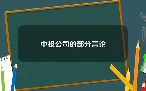 中投公司的部分言论