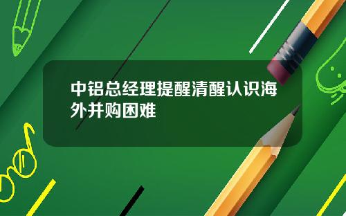 中铝总经理提醒清醒认识海外并购困难