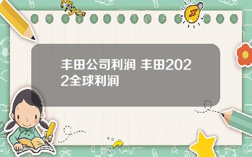 丰田公司利润 丰田2022全球利润