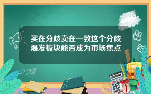 买在分歧卖在一致这个分歧爆发板块能否成为市场焦点