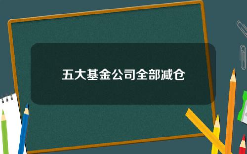 五大基金公司全部减仓