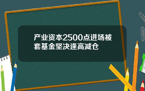 产业资本2500点进场被套基金坚决逢高减仓