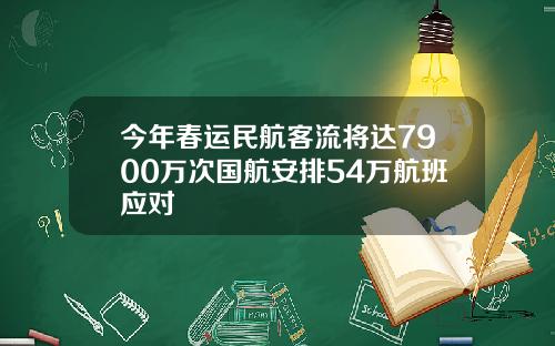 今年春运民航客流将达7900万次国航安排54万航班应对