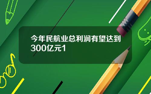 今年民航业总利润有望达到300亿元1