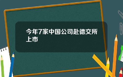 今年7家中国公司赴德交所上市