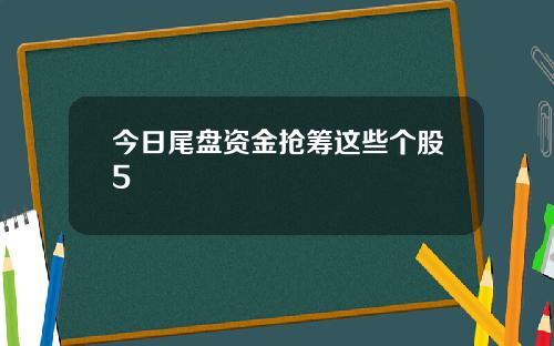 今日尾盘资金抢筹这些个股5