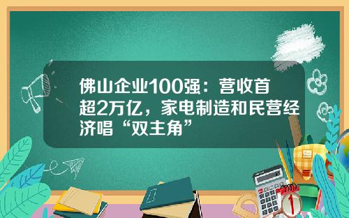 佛山企业100强：营收首超2万亿，家电制造和民营经济唱“双主角”