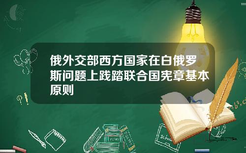 俄外交部西方国家在白俄罗斯问题上践踏联合国宪章基本原则