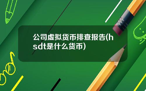 公司虚拟货币排查报告(hsdt是什么货币)