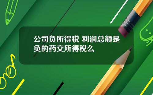 公司负所得税 利润总额是负的药交所得税么