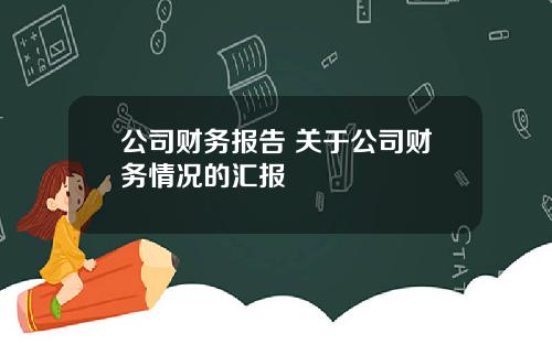 公司财务报告 关于公司财务情况的汇报