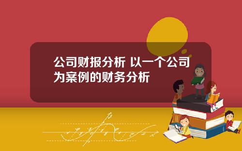 公司财报分析 以一个公司为案例的财务分析