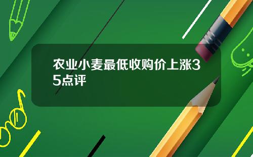 农业小麦最低收购价上涨35点评