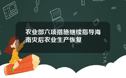 农业部六项措施继续指导海南灾后农业生产恢复