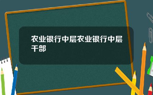 农业银行中层农业银行中层干部