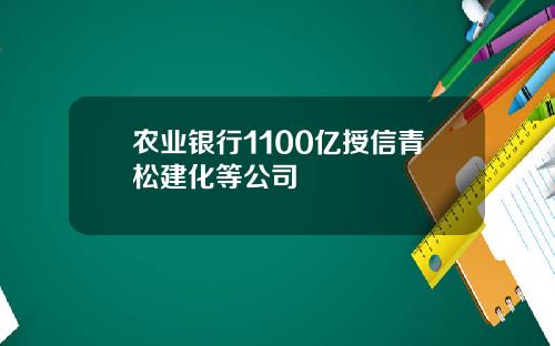 农业银行1100亿授信青松建化等公司