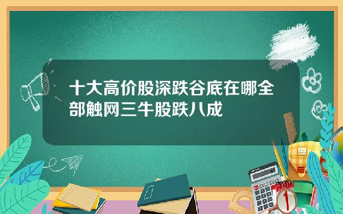 十大高价股深跌谷底在哪全部触网三牛股跌八成