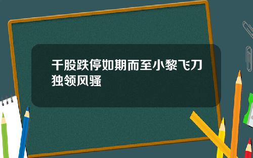 千股跌停如期而至小黎飞刀独领风骚