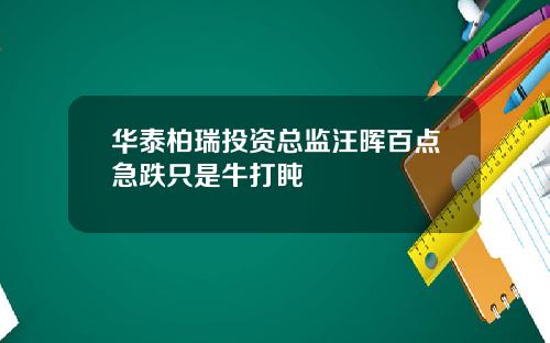 华泰柏瑞投资总监汪晖百点急跌只是牛打盹