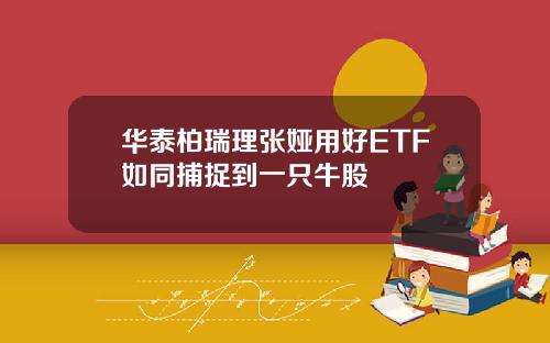 华泰柏瑞理张娅用好ETF如同捕捉到一只牛股