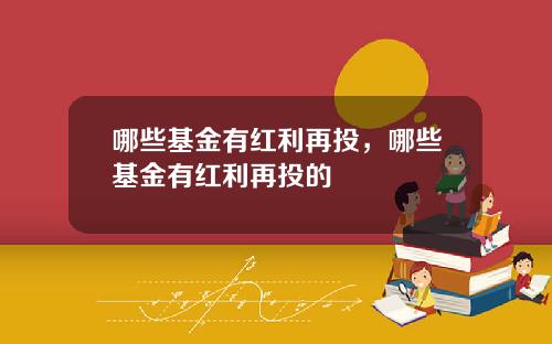 哪些基金有红利再投，哪些基金有红利再投的