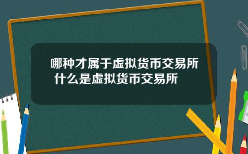 哪种才属于虚拟货币交易所 什么是虚拟货币交易所