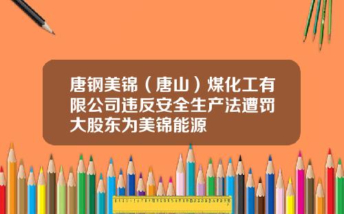 唐钢美锦（唐山）煤化工有限公司违反安全生产法遭罚 大股东为美锦能源