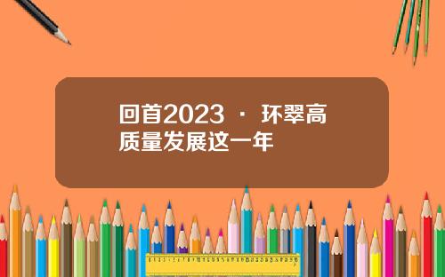 回首2023 · 环翠高质量发展这一年