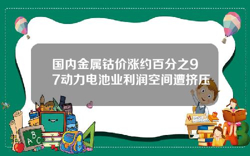 国内金属钴价涨约百分之97动力电池业利润空间遭挤压