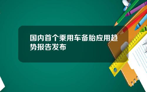 国内首个乘用车备胎应用趋势报告发布