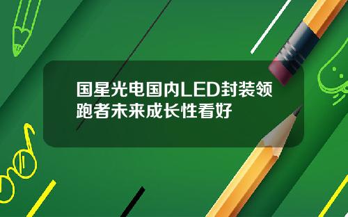 国星光电国内LED封装领跑者未来成长性看好