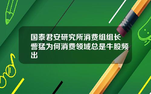 国泰君安研究所消费组组长訾猛为何消费领域总是牛股频出