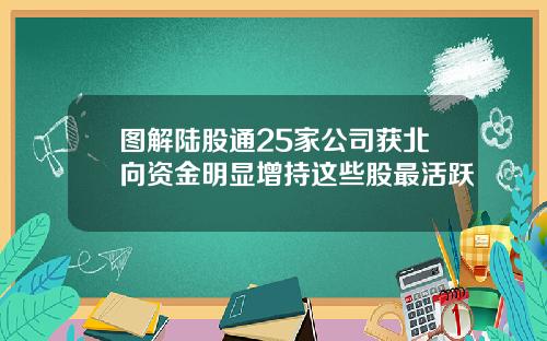 图解陆股通25家公司获北向资金明显增持这些股最活跃