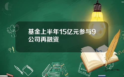 基金上半年15亿元参与9公司再融资