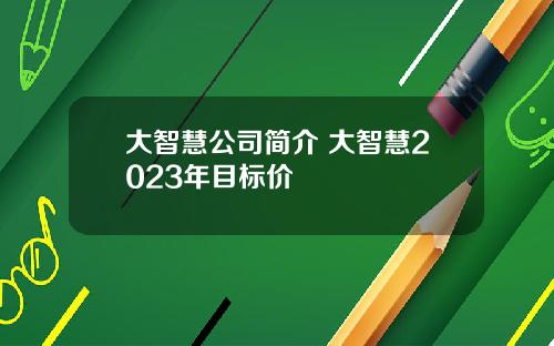 大智慧公司简介 大智慧2023年目标价