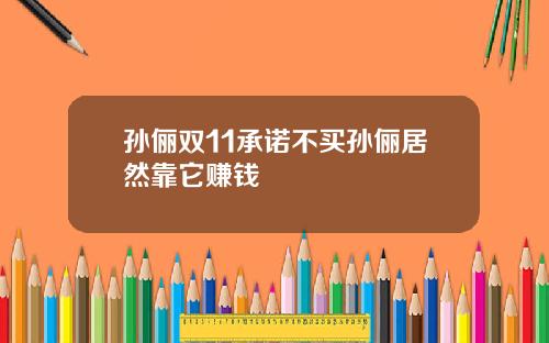 孙俪双11承诺不买孙俪居然靠它赚钱