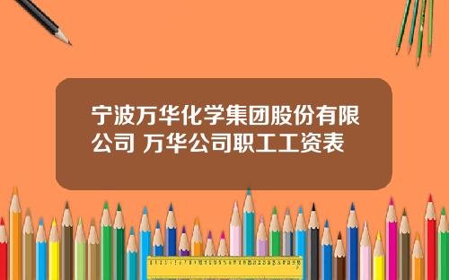 宁波万华化学集团股份有限公司 万华公司职工工资表