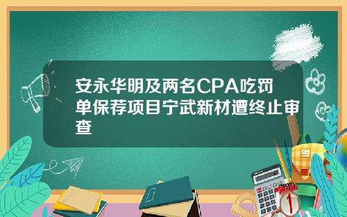 安永华明及两名CPA吃罚单保荐项目宁武新材遭终止审查