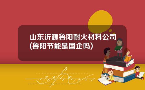 山东沂源鲁阳耐火材料公司(鲁阳节能是国企吗)