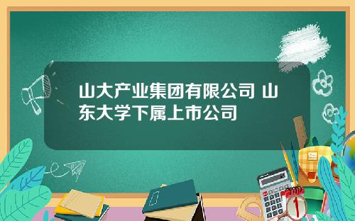 山大产业集团有限公司 山东大学下属上市公司