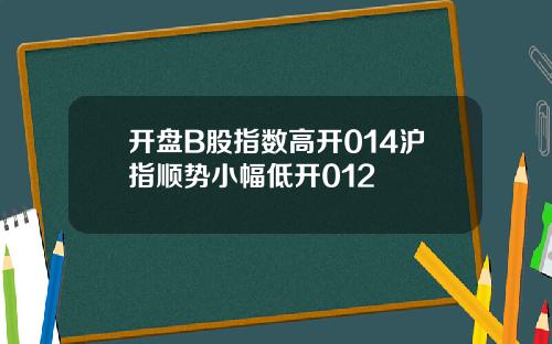 开盘B股指数高开014沪指顺势小幅低开012