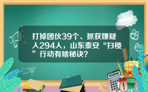 打掉团伙39个、抓获嫌疑人294人，山东泰安“扫楼”行动有啥秘诀？