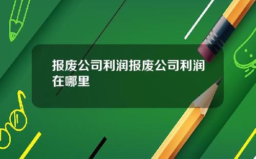 报废公司利润报废公司利润在哪里