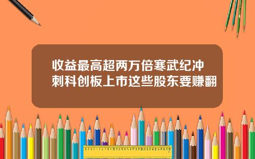 收益最高超两万倍寒武纪冲刺科创板上市这些股东要赚翻